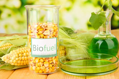 Shepeau Stow biofuel availability